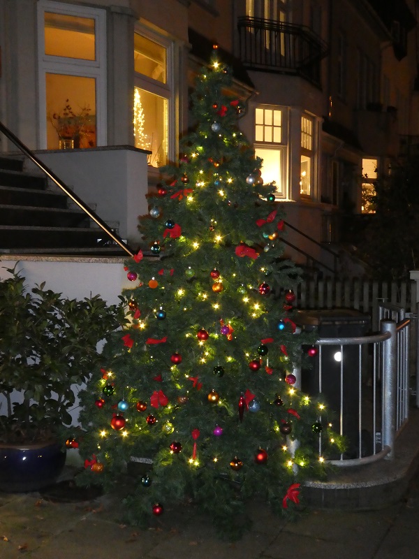 Tannenbaum Wachmannstraße