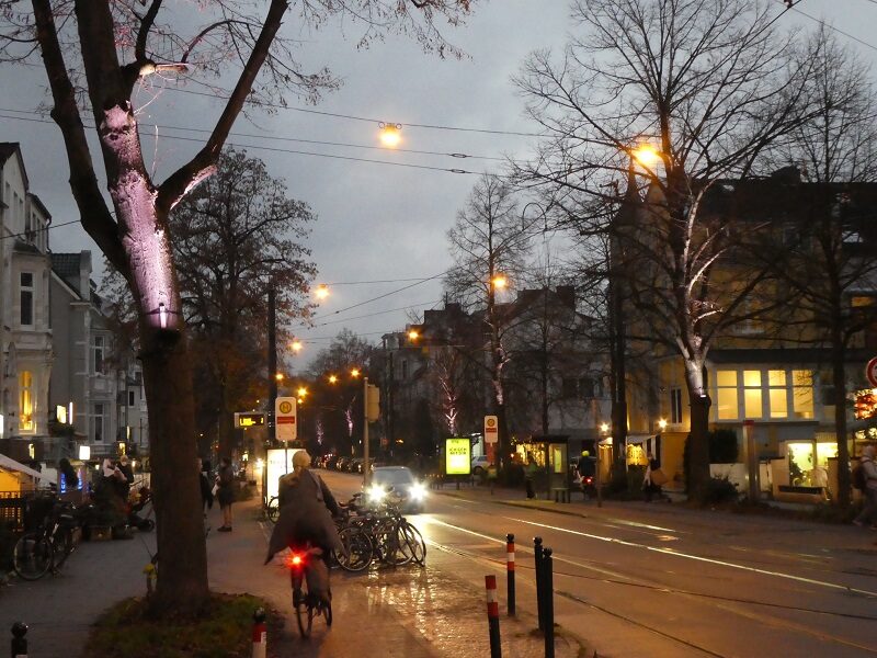 Baumbeleuchtung Weihnachten 2020